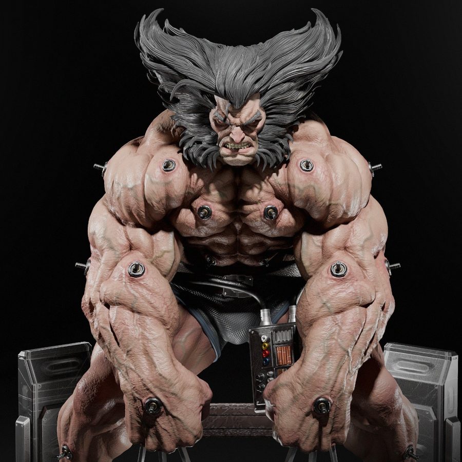 Wolverine Weapon X Figür